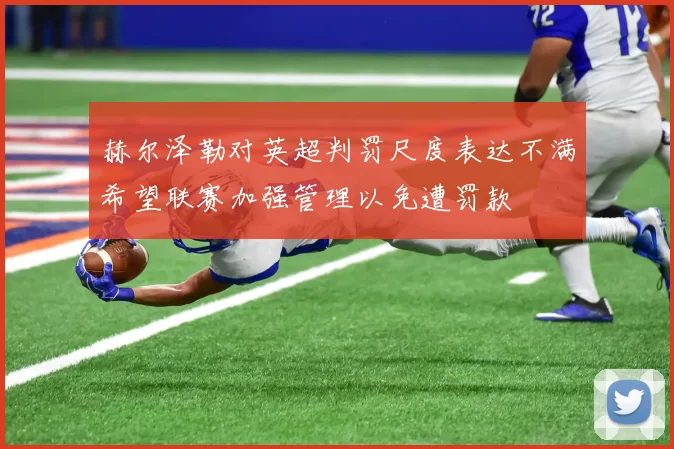 赫尔泽勒对英超判罚尺度表达不满希望联赛加强管理以免遭罚款